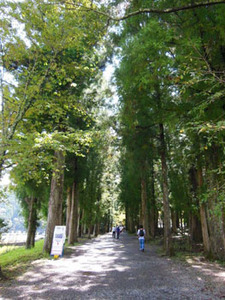 120923_46.jpg