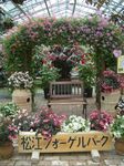 フォーゲル20.jpg