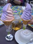 フォーゲル23.jpg