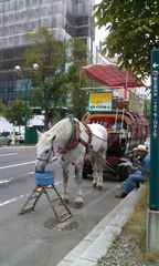 札幌28.jpg