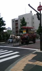 札幌37.jpg